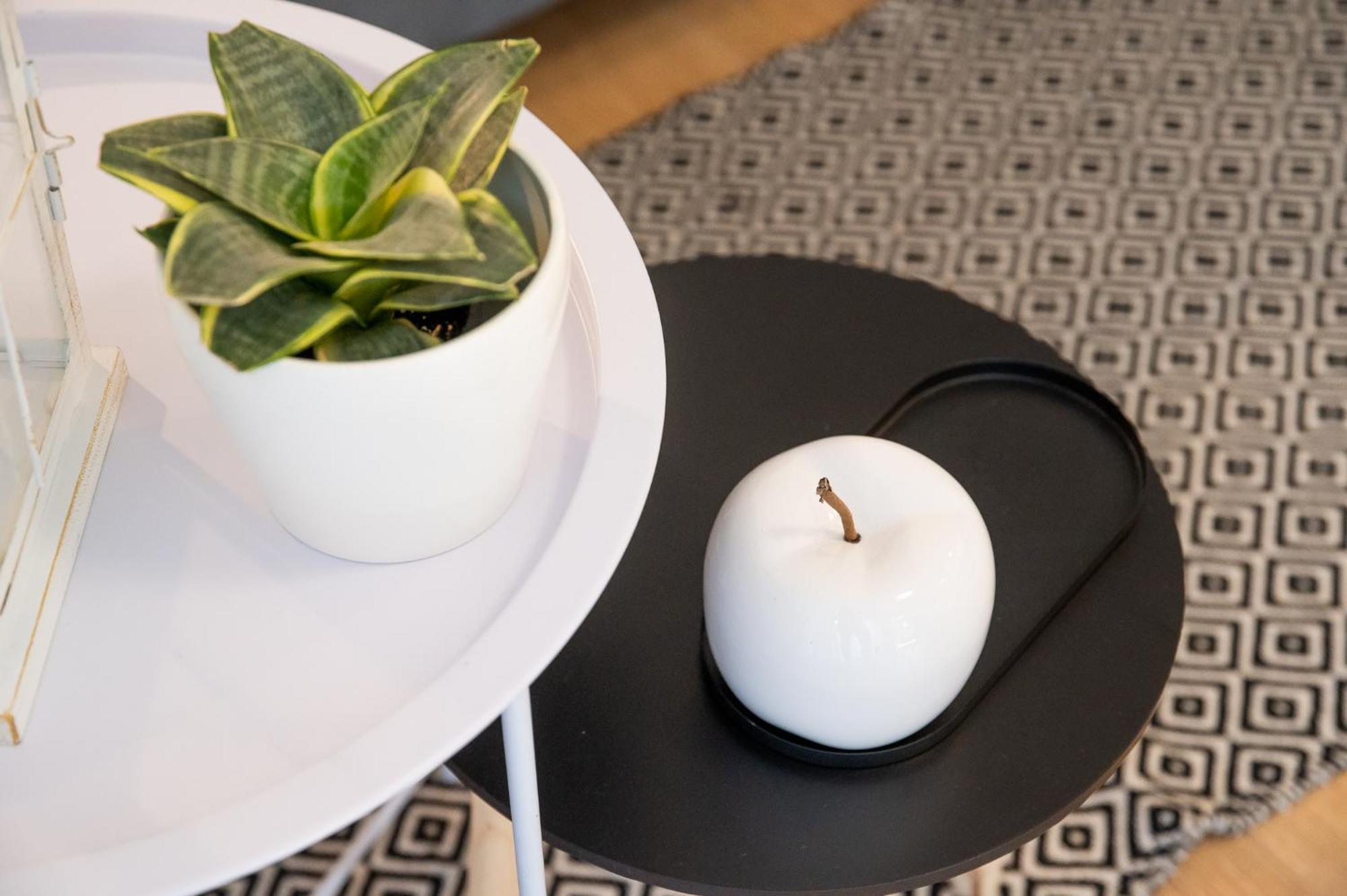 Olinar Apartments Zadar Dış mekan fotoğraf